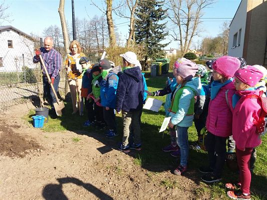 Grafika #37: 20.04.2018 Obchodzimy Światowy Dzień Ziemi cz.I