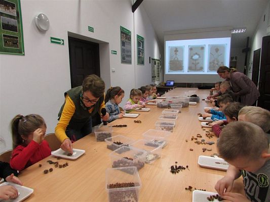 Grafika #47: 10.04.2018 Wycieczka do Słowińskiego Parku Narodowego