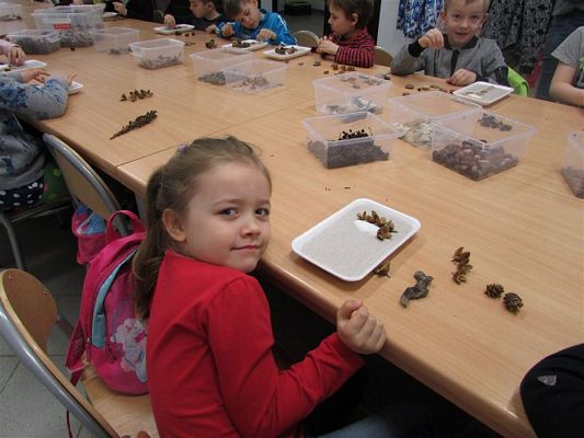 Grafika #49: 10.04.2018 Wycieczka do Słowińskiego Parku Narodowego