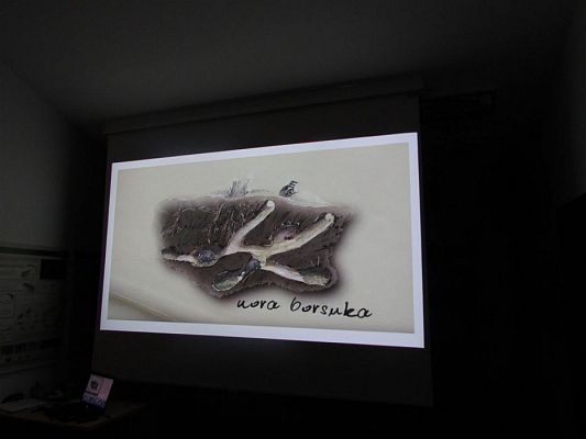 Grafika #57: 10.04.2018 Wycieczka do Słowińskiego Parku Narodowego