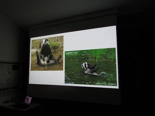 Grafika #59: 10.04.2018 Wycieczka do Słowińskiego Parku Narodowego