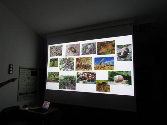 Grafika #61: 10.04.2018 Wycieczka do Słowińskiego Parku Narodowego