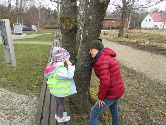Grafika #88: 10.04.2018 Wycieczka do Słowińskiego Parku Narodowego