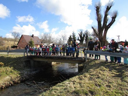 Grafika #66: 21.03.2018 Witamy Wiosnę!