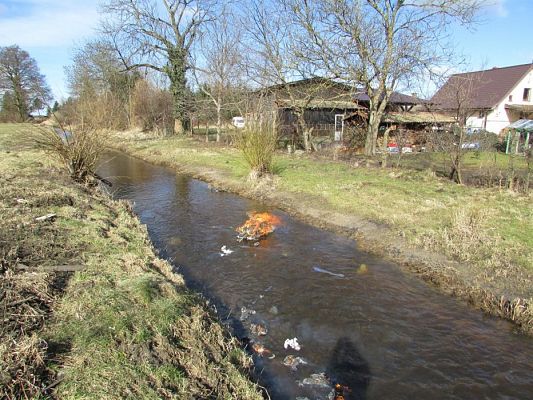 Grafika #69: 21.03.2018 Witamy Wiosnę!