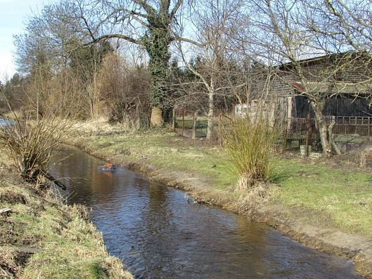 Grafika #72: 21.03.2018 Witamy Wiosnę!