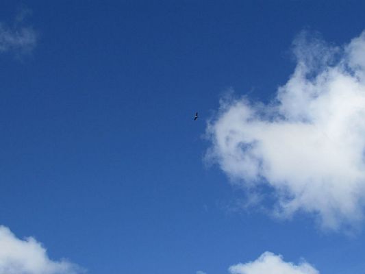 Grafika #74: 21.03.2018 Witamy Wiosnę!