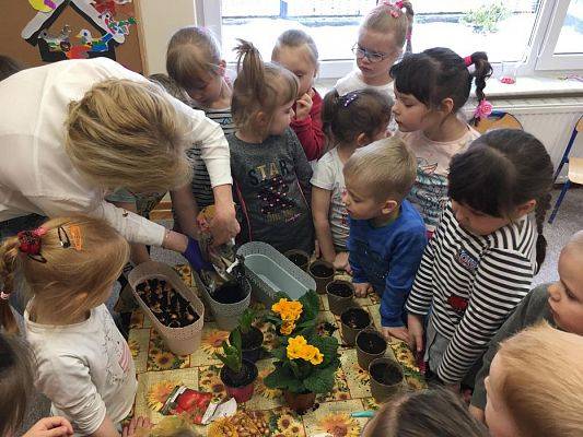 Grafika #0: Średniaki zakładają zielony kącik w sali