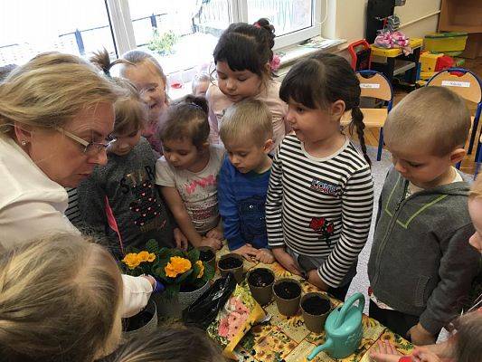 Grafika #1: Średniaki zakładają zielony kącik w sali