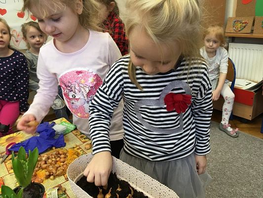 Grafika #4: Średniaki zakładają zielony kącik w sali