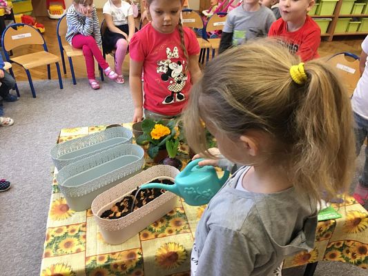 Grafika #5: Średniaki zakładają zielony kącik w sali