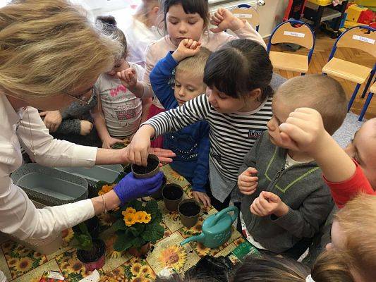 Grafika #6: Średniaki zakładają zielony kącik w sali