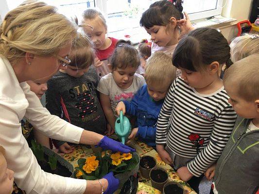 Grafika #7: Średniaki zakładają zielony kącik w sali