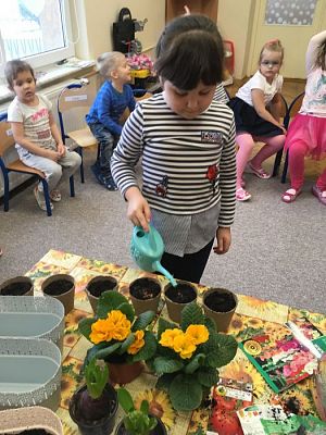 Grafika #8: Średniaki zakładają zielony kącik w sali