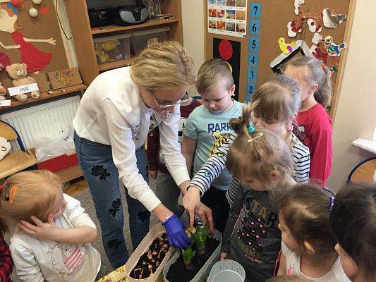 Grafika #9: Średniaki zakładają zielony kącik w sali