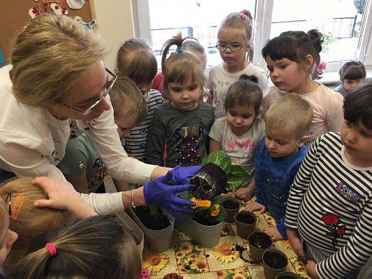 Grafika #11: Średniaki zakładają zielony kącik w sali