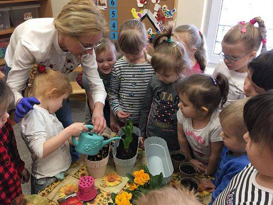 Grafika #12: Średniaki zakładają zielony kącik w sali