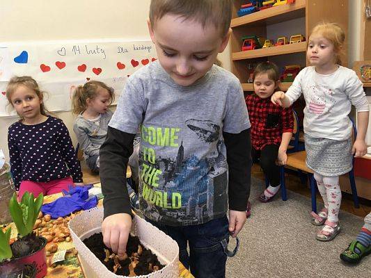 Grafika #13: Średniaki zakładają zielony kącik w sali