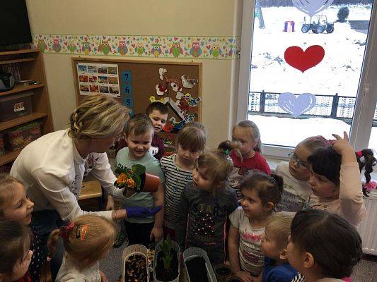 Grafika #14: Średniaki zakładają zielony kącik w sali