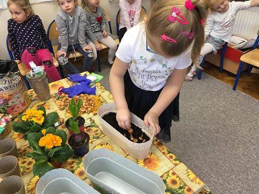 Grafika #15: Średniaki zakładają zielony kącik w sali