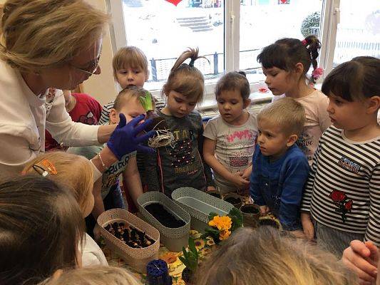 Grafika #20: Średniaki zakładają zielony kącik w sali