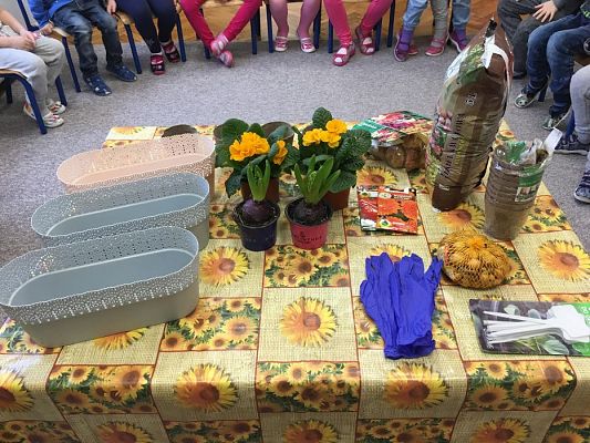 Grafika #21: Średniaki zakładają zielony kącik w sali