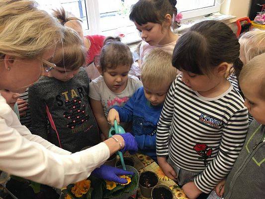 Grafika #22: Średniaki zakładają zielony kącik w sali