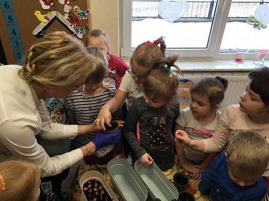 Grafika #24: Średniaki zakładają zielony kącik w sali