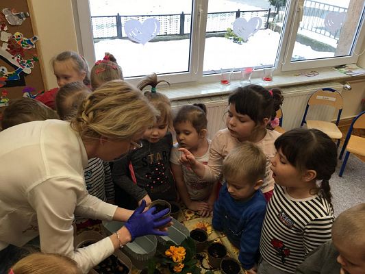 Grafika #25: Średniaki zakładają zielony kącik w sali