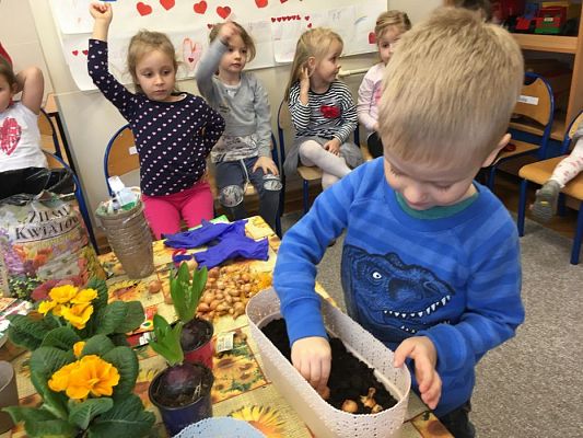 Grafika #26: Średniaki zakładają zielony kącik w sali