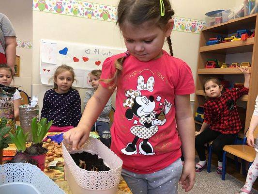 Grafika #27: Średniaki zakładają zielony kącik w sali