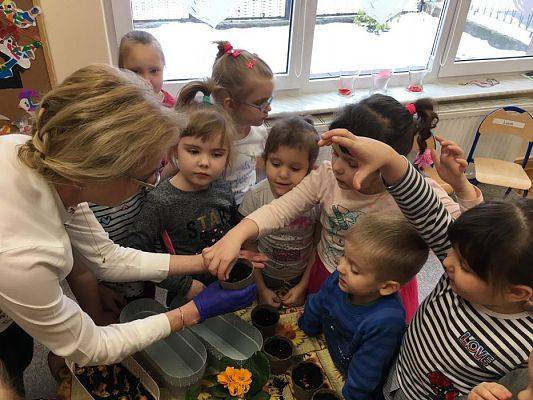 Grafika #28: Średniaki zakładają zielony kącik w sali