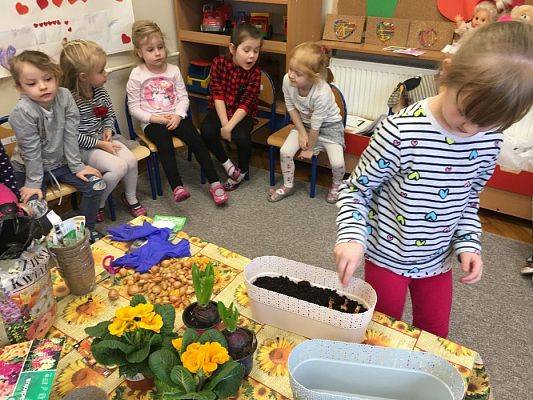 Grafika #29: Średniaki zakładają zielony kącik w sali