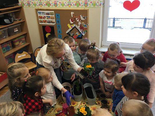 Grafika #30: Średniaki zakładają zielony kącik w sali