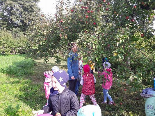 Grafika #0: 27.09.2017 W jesiennym ogrodzie