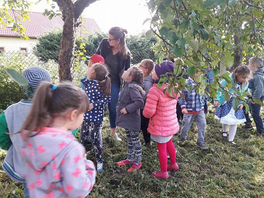 Grafika #10: 27.09.2017 W jesiennym ogrodzie