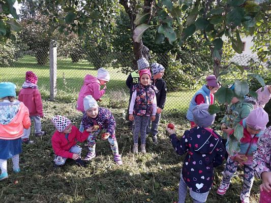 Grafika #11: 27.09.2017 W jesiennym ogrodzie