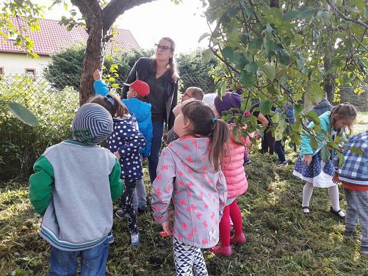 Grafika #15: 27.09.2017 W jesiennym ogrodzie