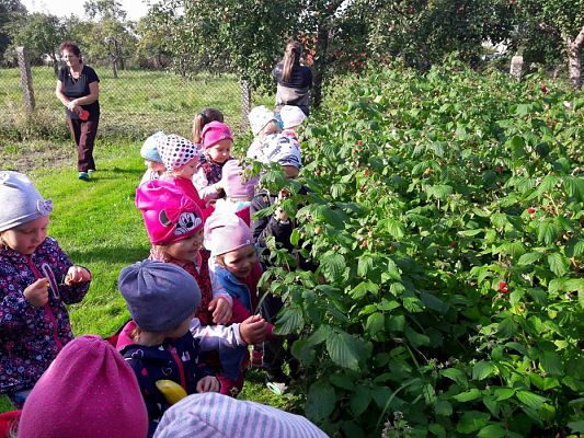 Grafika #16: 27.09.2017 W jesiennym ogrodzie