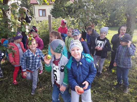 Grafika #17: 27.09.2017 W jesiennym ogrodzie