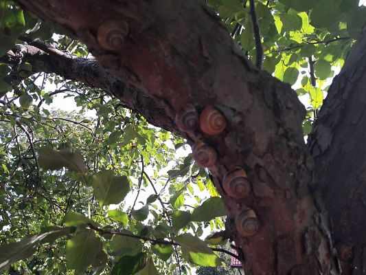 Grafika #18: 27.09.2017 W jesiennym ogrodzie