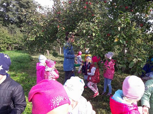 Grafika #19: 27.09.2017 W jesiennym ogrodzie