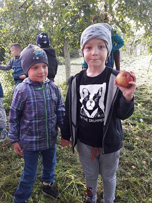 Grafika #21: 27.09.2017 W jesiennym ogrodzie