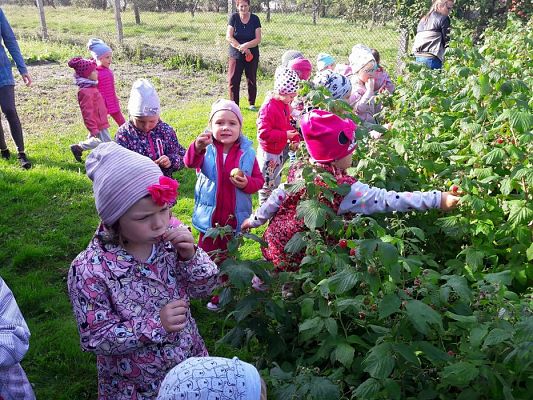 Grafika #22: 27.09.2017 W jesiennym ogrodzie