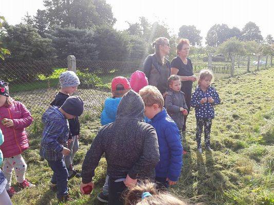 Grafika #25: 27.09.2017 W jesiennym ogrodzie