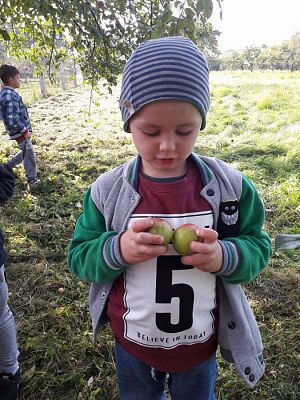 Grafika #26: 27.09.2017 W jesiennym ogrodzie