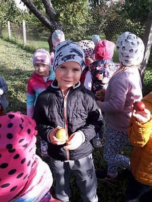 Grafika #29: 27.09.2017 W jesiennym ogrodzie