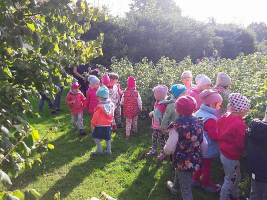 Grafika #30: 27.09.2017 W jesiennym ogrodzie