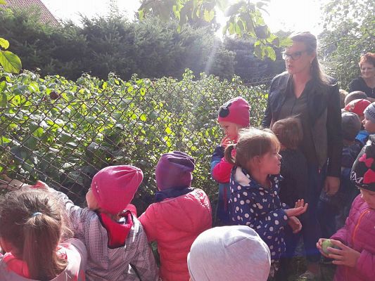 Grafika #31: 27.09.2017 W jesiennym ogrodzie