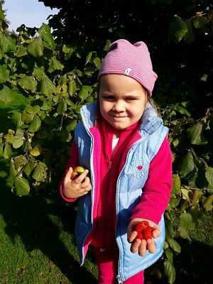 Grafika #32: 27.09.2017 W jesiennym ogrodzie